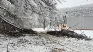 Localități din Timiș rămase fără curent electric în urma ninsorilor și a vântului