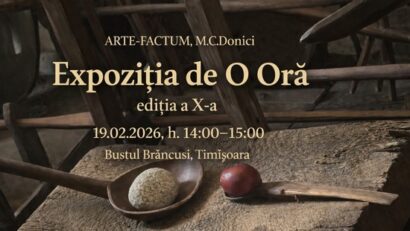 expo brancusi arte factum