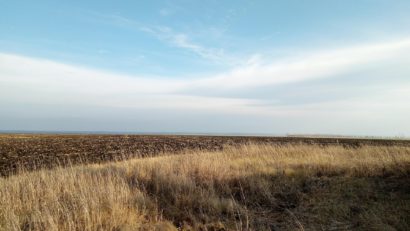 teren fara iesire la drum