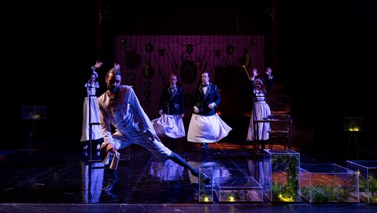 Programul lunii martie la Teatrul German de Stat Timișoara