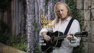 hrusca un copac cu flori