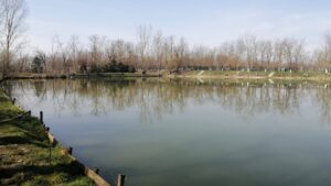 Amenzi de peste 260.000 de lei aplicate de Apele Banat unor primării și firme din vestul țării