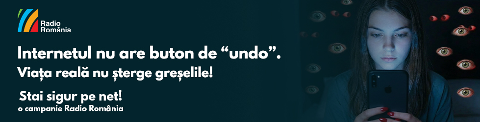 V3 - Internetul nu are buton de undo - 970x250