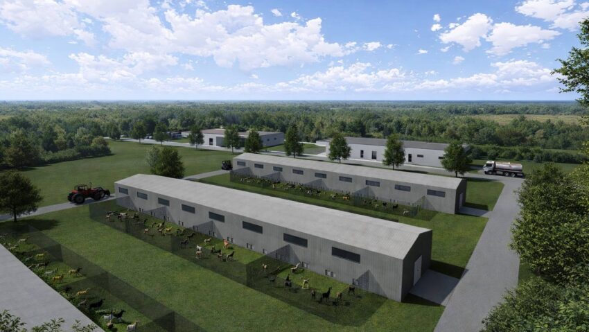 Adăpost pentru 300 de câini fără stăpân, construit de CJ Timiș