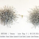 Expoziția colectivă „Axis of Bloom”, la Galeria Brăteanu din Timișoara