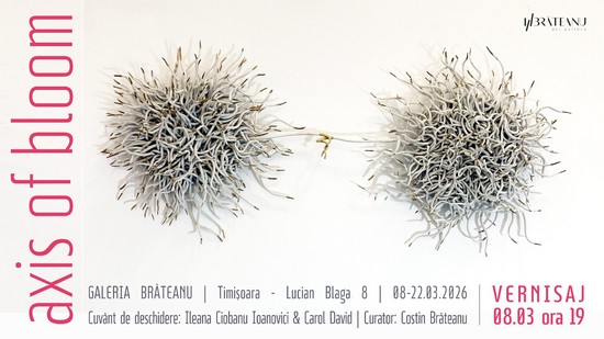 Expoziția colectivă „Axis of Bloom”, la Galeria Brăteanu din Timișoara