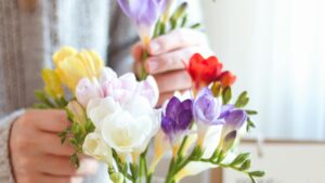 Vremea în vestul țării