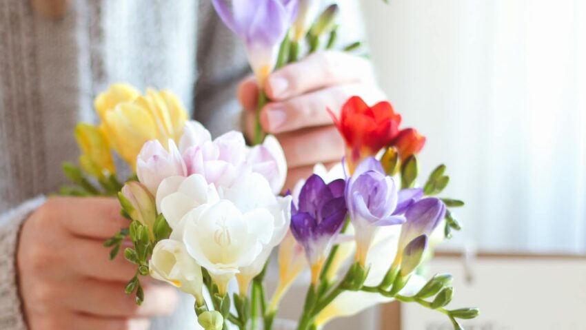 Vremea în vestul țării