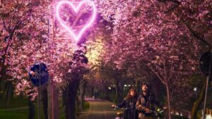 Tunelul iubirii din Timișoara, iluminat cu instalații LED