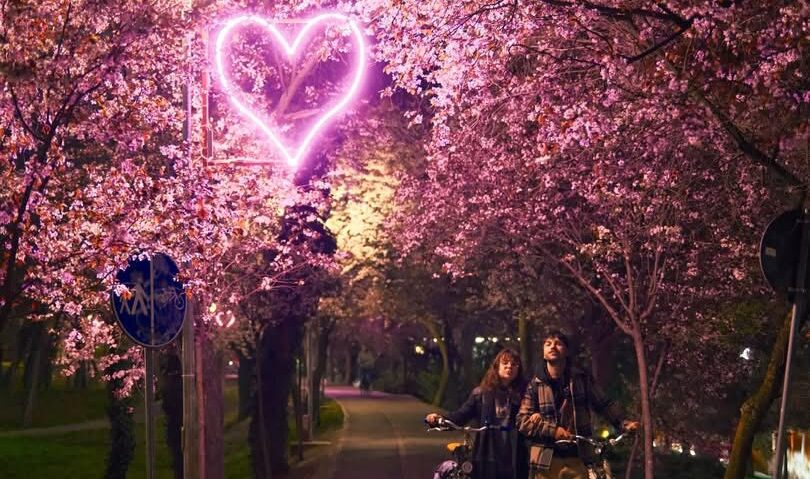 Tunelul iubirii din Timișoara, iluminat cu instalații LED