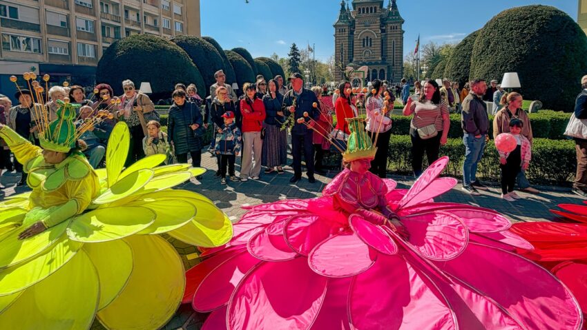 „Flori de Florii” aduce spectacolul primăverii în centrul Timișoara: