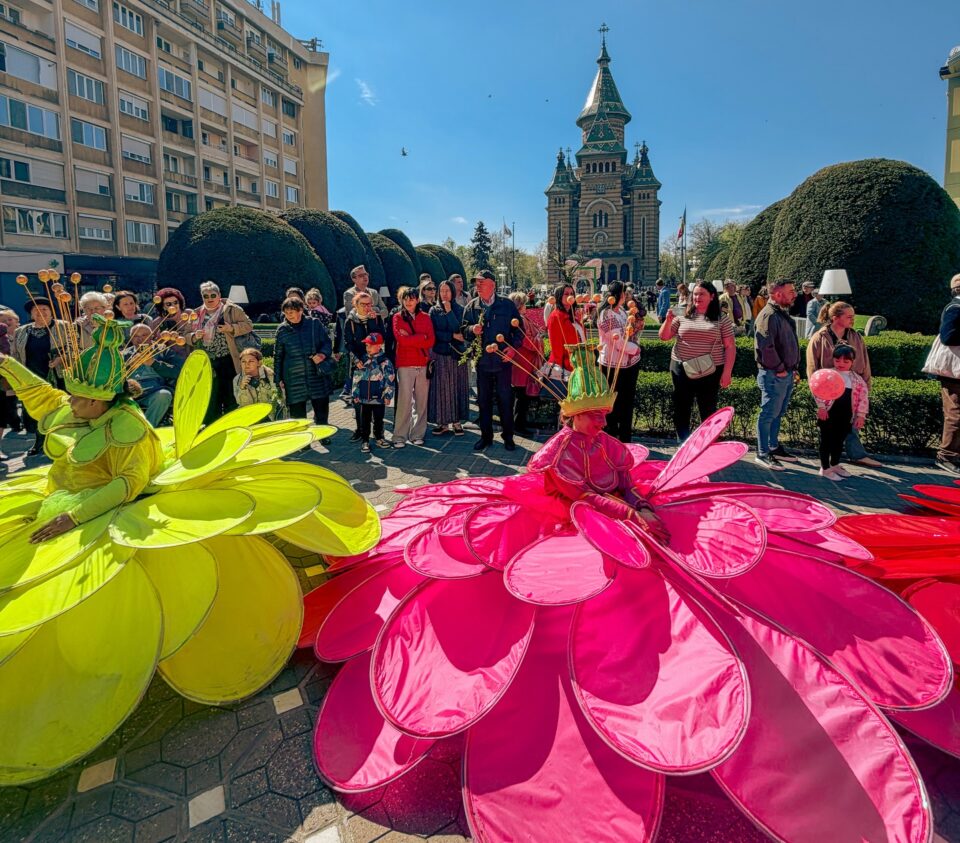 „Flori de Florii” aduce spectacolul primăverii în centrul Timișoara: