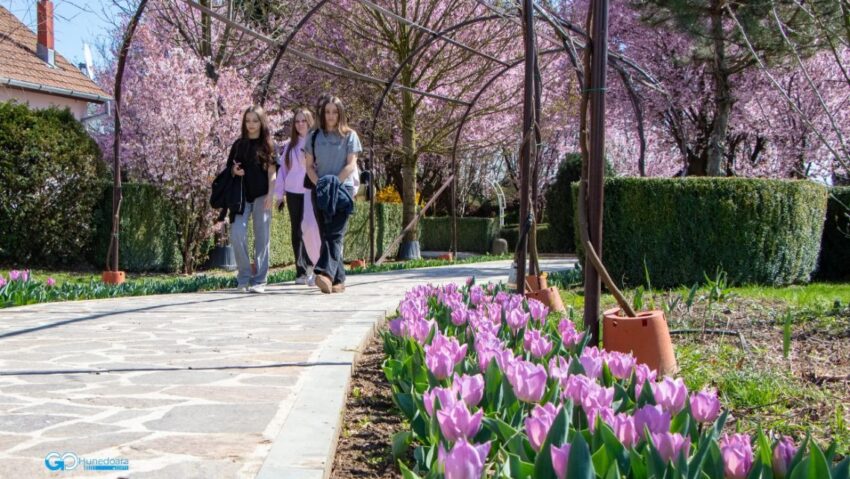 I Giardini di Zoe, spectacol de lalele în grădina din Banpotoc
