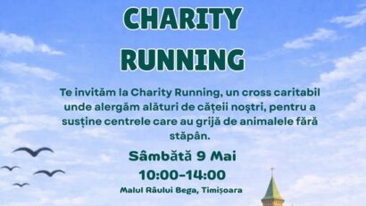 cros caritabil sustinere caini