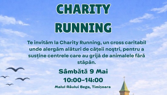 Cros caritabil pe malul Begăi: timișorenii aleargă pentru animalele fără stăpân