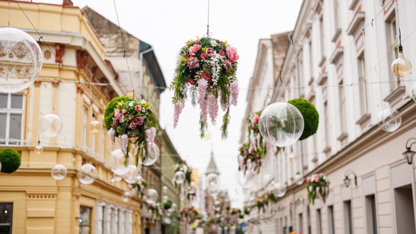 Vremea în vestul țării