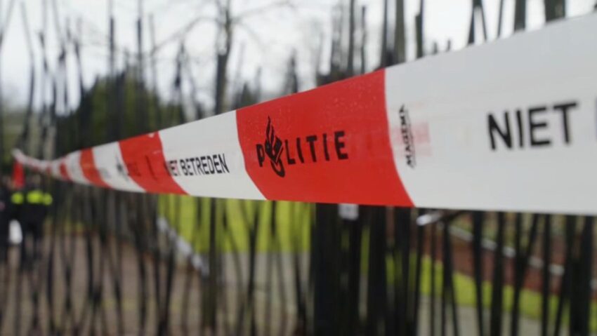 Coiful de aur de la Coţofeneşti a fost recuperat