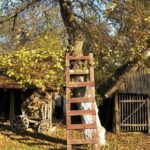 ”Banat Brunch de primăvară”, la Muzeul Satului Bănățean din Timișoara