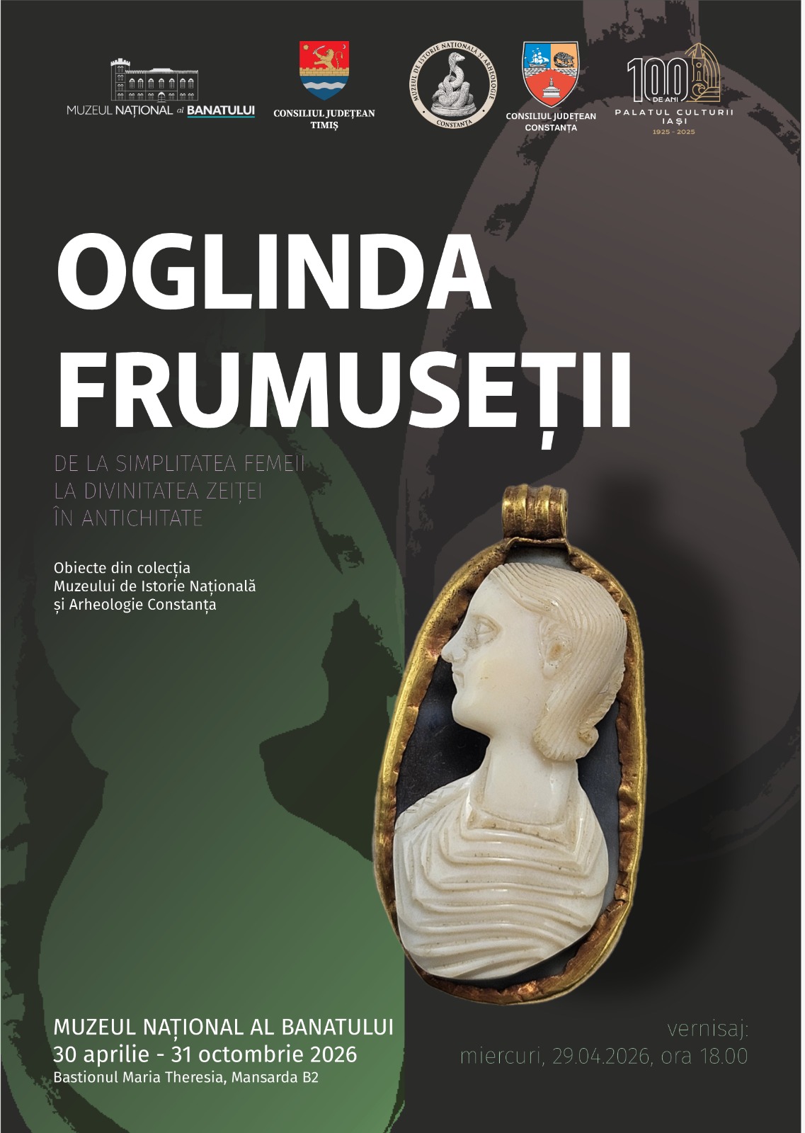 oglina frumusetii expozitii timisoara