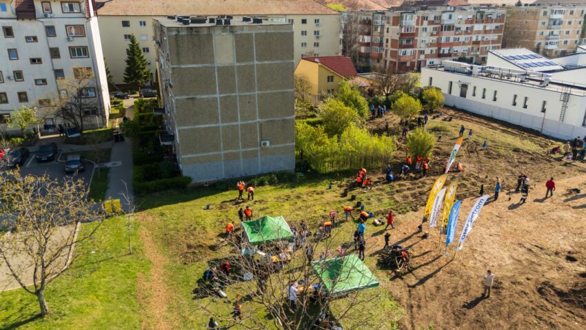 Ziua Pământului la Timișoara: minipăduri urbane și pajiști noi pe malurile Begăi