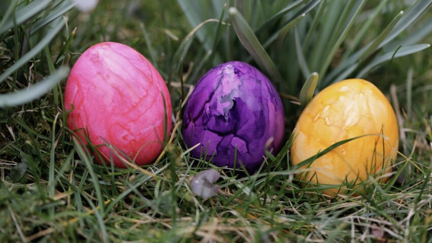 Vânătoare de ouă de Paște pentru copii, la Basilica Papală Maria Radna