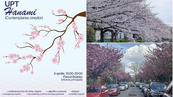 Hanami la Timișoara: Centrul Jutsu de la UPT aduce spiritul Japoniei în inima orașului florilor