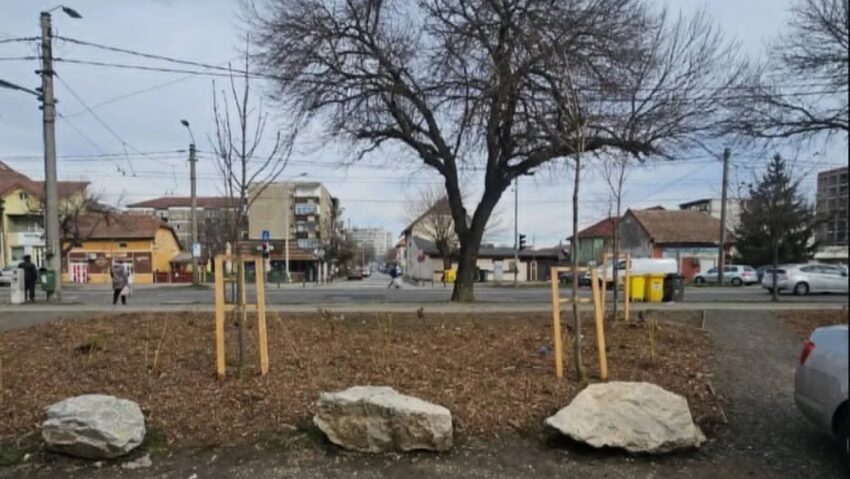 Garda de Mediu explică amenzile aplicate Primăriei Timișoara pentru bolovanii de pe spațiile verzi