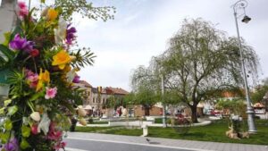 „FlorAr” transformă centrul Aradului într-o grădină urbană