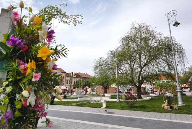 „FlorAr” transformă centrul Aradului într-o grădină urbană
