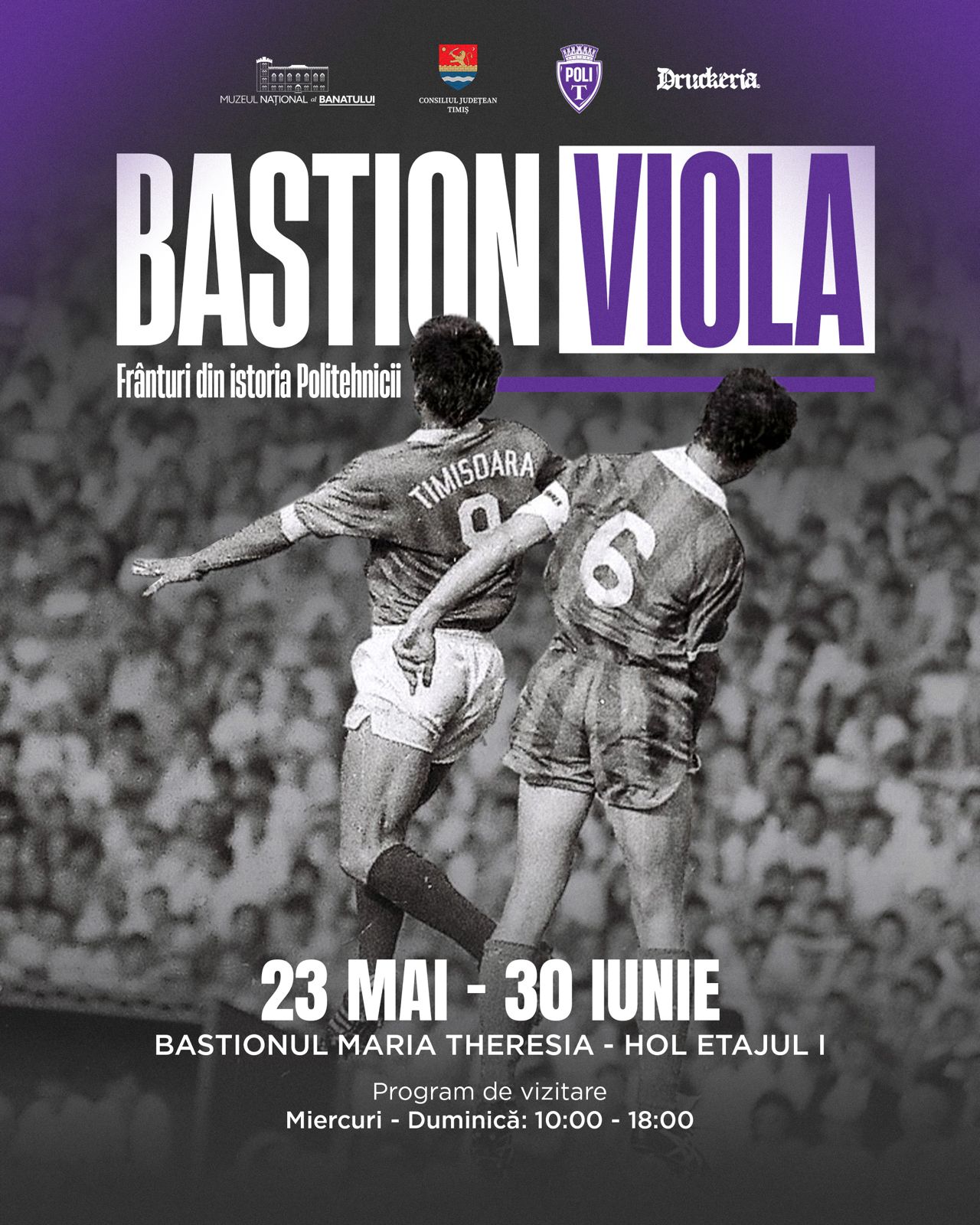 Bastion Viola