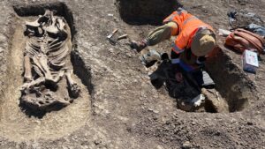 Noi descoperiri arheologice pe șantierul Centurii de Vest Timișoara: mormânt cu piese din aur și argint