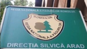 Fostul șef al Direcției Silvice Arad a pierdut definitiv procesul privind concedierea