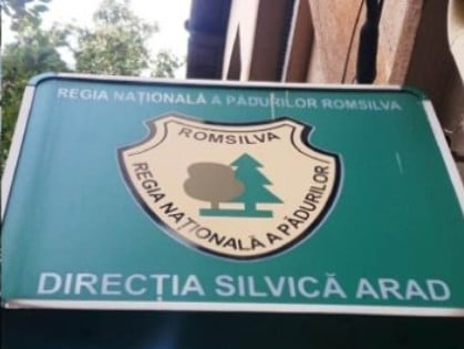 Fostul șef al Direcției Silvice Arad a pierdut definitiv procesul privind concedierea