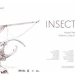 „Insectarium” – o nouă expoziție din cadrul programului „Sezon de Grafică la MNArT”