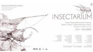 insectarium expozitie muzeul de arta timisoara