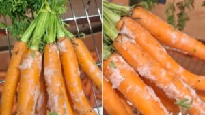 Direcţia Agricolă Arad verifică supermarketurile, după ce directorul a găsit legume cu mucegai
