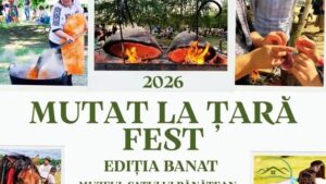 mutat la tara festival timisoara