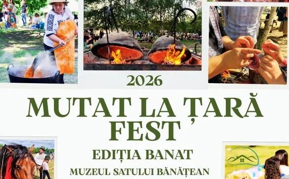 mutat la tara festival timisoara