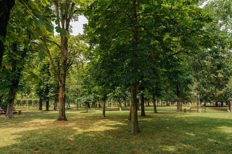 Trei noi parcuri cu iazuri artificiale și zone de recreere, propuse prin proiectul de bugetare participativă