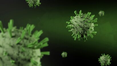 Epidemiolog: „Nu există risc de pandemie cu hantavirus sau de focare epidemice”