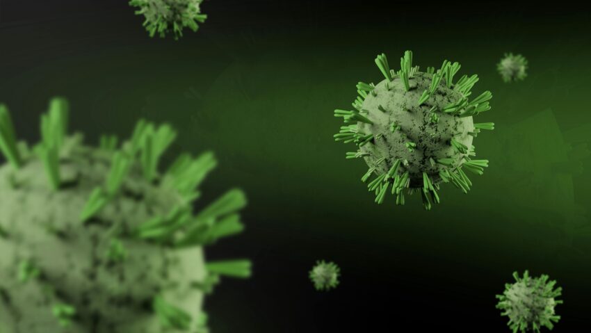 Epidemiolog: „Nu există risc de pandemie cu hantavirus sau de focare epidemice”