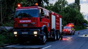 Furtuna a provocat probleme în Timiș