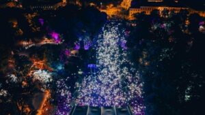 Beth Hart vine în premieră la Timișoara. Noi artiști la City Celebration