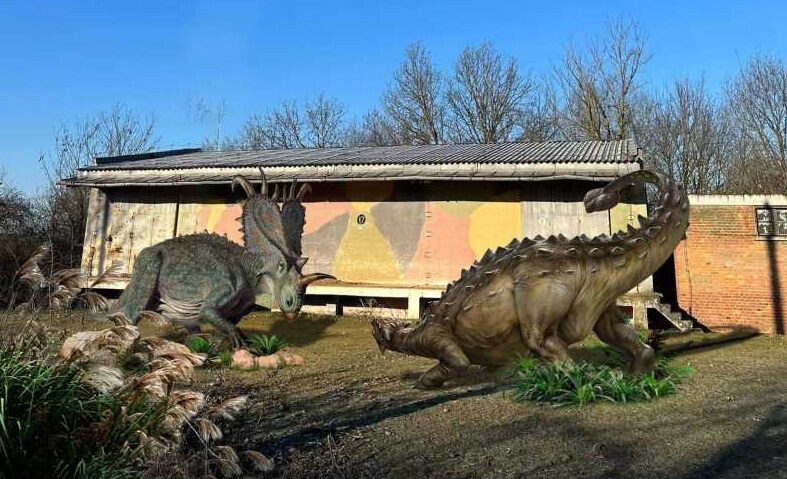 Parc cu dinozauri în mărime naturală și bob de vară, construite la Ineu cu fonduri europene