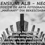 „Dimensiuni Alb-Negru”, expoziție internațională de fotografie la Biblioteca Județeană Arad