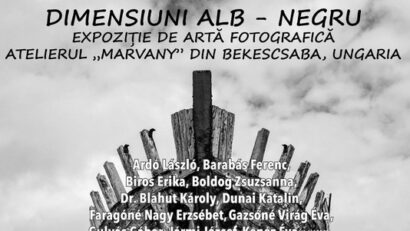 expozitie de arta fotografica arad dimensiuni alb negru