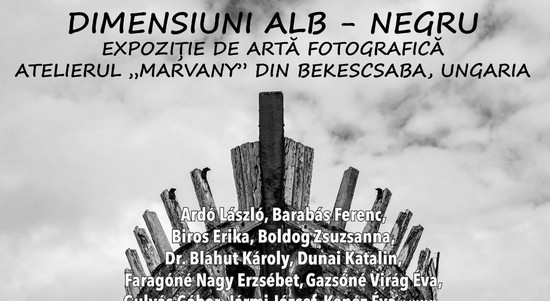 „Dimensiuni Alb-Negru”, expoziție internațională de fotografie la Biblioteca Județeană Arad