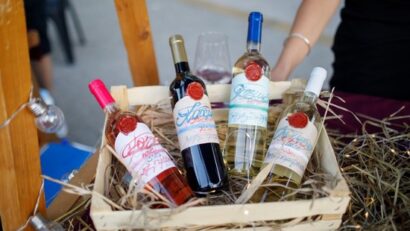 festivalu vinofest varset