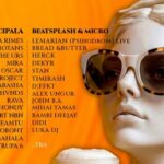 IRIS, Irina Rimes, The Motans și Mira, pe scena Festivalului Berii Arad 2026 / PROGRAM
