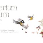 „Herbarium Nocturn” – fragilitate și metamorfoză, la Galeria Pygmalion